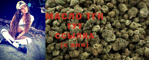 мдпв Богданович