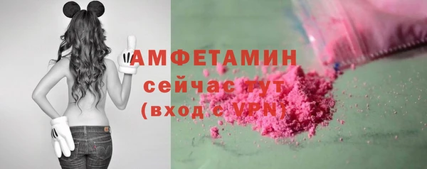 мдпв Богданович