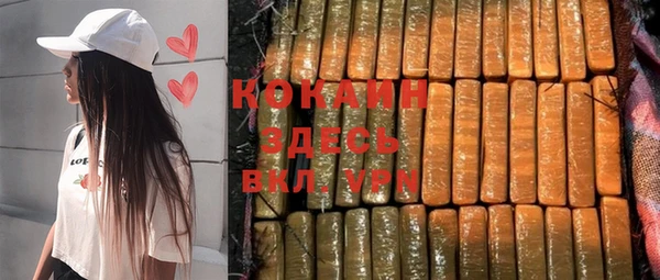 мдпв Богданович