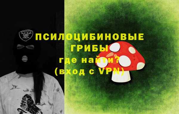 мдпв Богданович