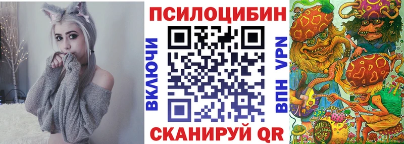 Галлюциногенные грибы Psilocybe Балей